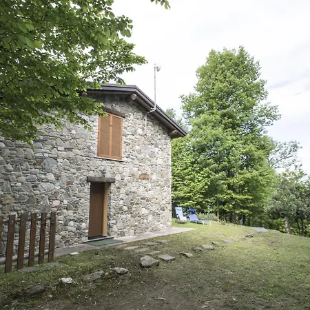 Il Nido Nel Bosco *